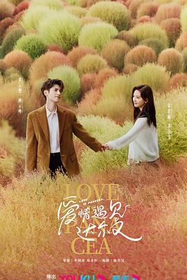 在SEO优化中以下说法